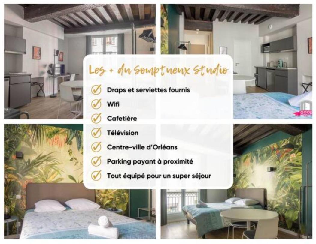 Somptueux Studio Hyper Centre Avec Wifi Apartment Orléans Exterior photo